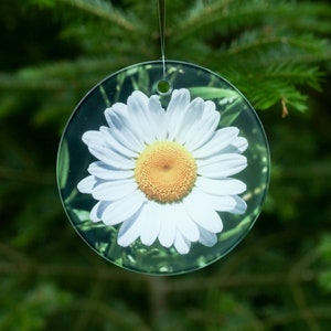 Daisy Photo Glass 3.5" Circular Suncatcher w/ Gift Box and Suction Cup